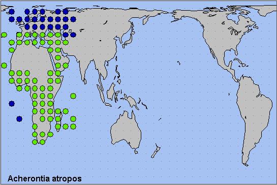 Global distribution of Acherontia atropos. Map: © NHMUK.