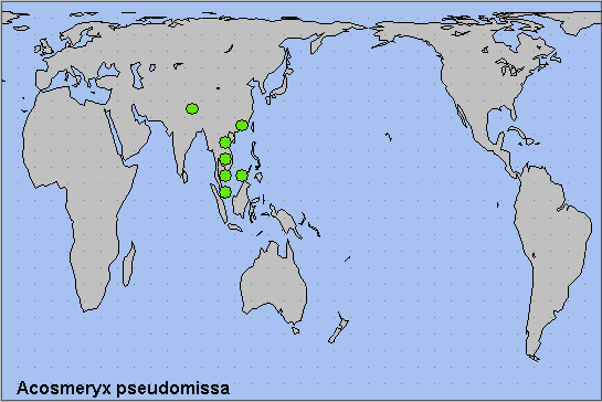 Global distribution of Acosmeryx pseudomissa. Map: © NHMUK.