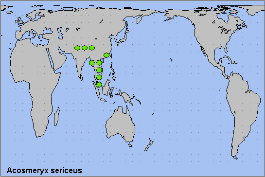 Global distribution of Acosmeryx sericeus. Map: © NHMUK.