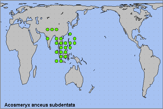 Global distribution of Acosmeryx anceus subdentata. Map: © NHMUK.