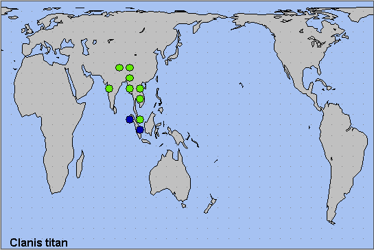 Global distribution of Clanis titan. Map: © NHMUK.