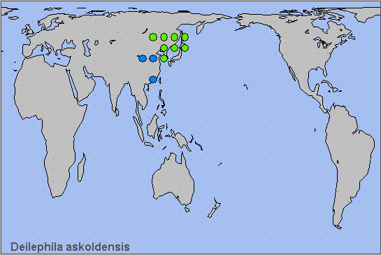 Global distribution of Deilephila askoldensis. Map: © NHMUK.