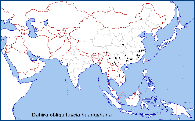 Global distribution of Dahira obliquifascia huangshana. Map: © Tony Pittaway.