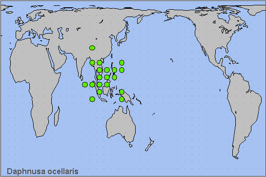 Global distribution of Daphnusa ocellaris. Map: © NHMUK.