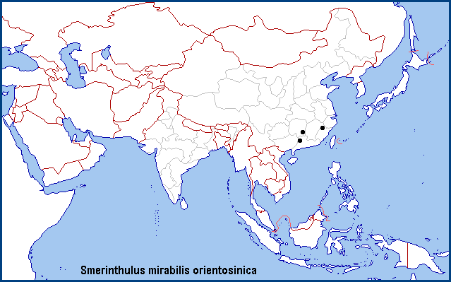 Global distribution of Smerinthulus mirabilis orientosinica. Map: © NHMUK.