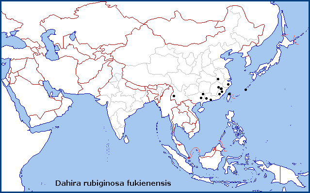Global distribution of Dahira rubiginosa fukienensis. Map: © Tony Pittaway.