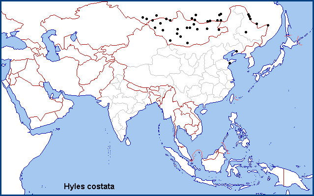 Global distribution of Hyles costata. Map: © NHMUK.