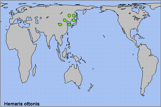 Global distribution of Hemaris ottonis. Map: © NHMUK.