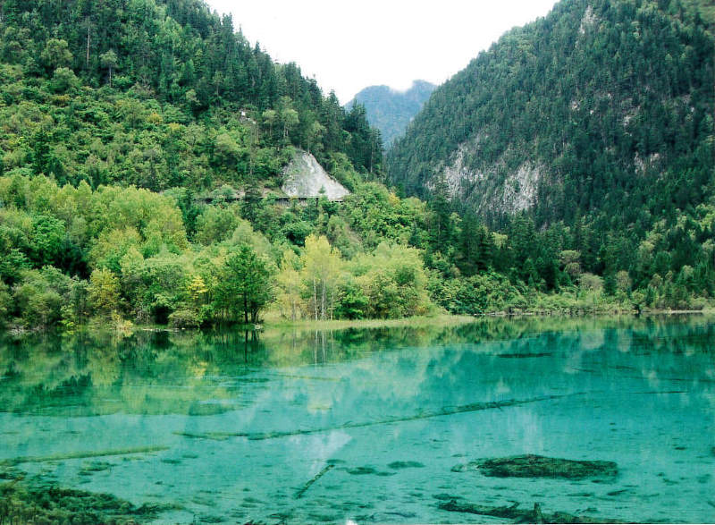 Typical habitat of Laothoe habeli at 2400m, Jiuzhai Gou, Sichuan, China. Photo: © Qiaoqiao Zhang.