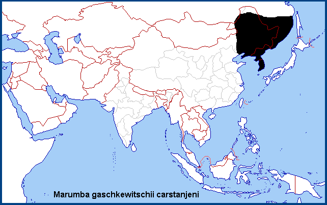 Global distribution of Marumba gaschkewitschii carstanjeni. Map: © NHMUK.