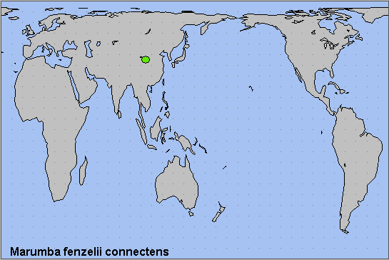 Global distribution of Marumba fenzelii connectens. Map: © NHMUK.