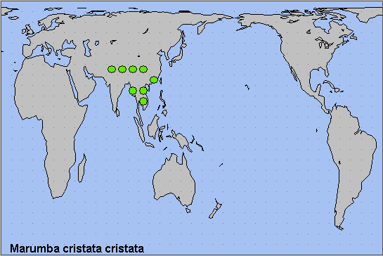 Global distribution of Marumba cristata cristata. Map: © NHMUK.