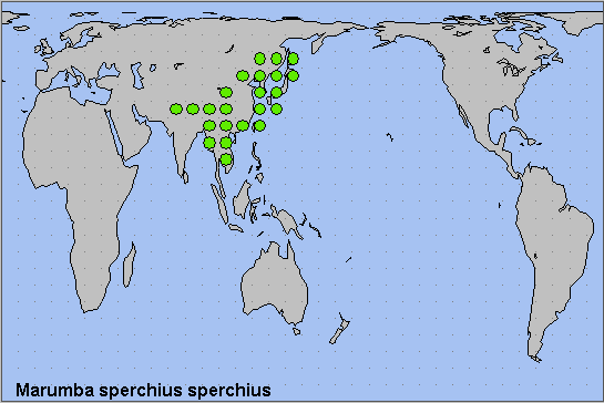 Global distribution of Marumba sperchius sperchius. Map: © NHMUK.