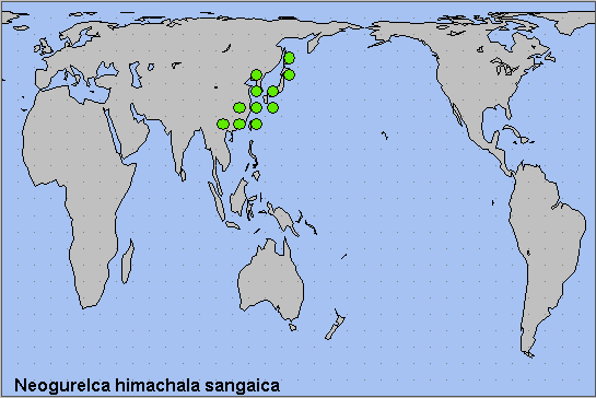 Global distribution of Neogurelca himachala sangaica. Map: © NHMUK.