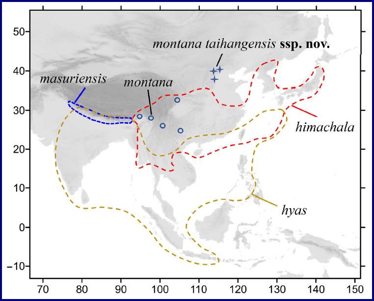 Global distribution of Neogurelca hyas. Map: © Xu, He, Yang, Kitching & Hu, 2023.