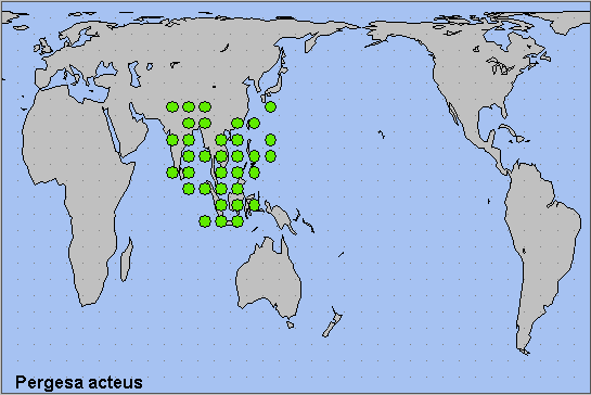 Global distribution of Pergesa acteus. Map: © NHMUK.