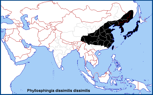 Global distribution of Phyllosphingia dissimilis dissimilis.