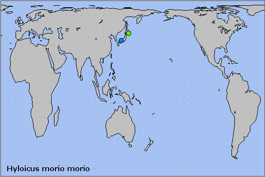 Global distribution of Hyloicus morio morio. Map: © NHMUK.