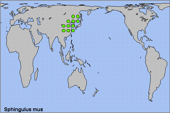 Global distribution of Sphingulus mus. Map: © NHMUK.