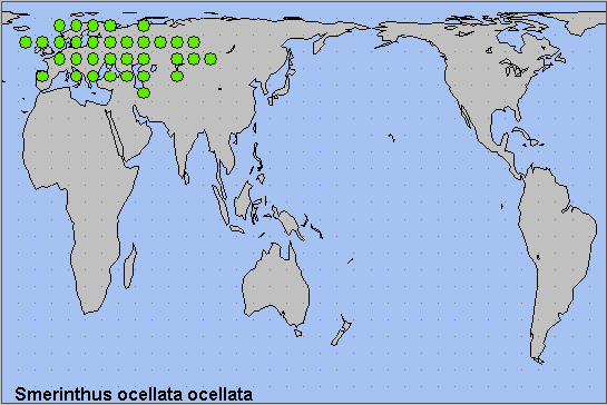 Global distribution of Smerinthus ocellata ocellata. Map: © NHMUK.