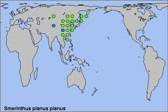 Global distribution of Smerinthus planus planus. Map: © NHMUK.