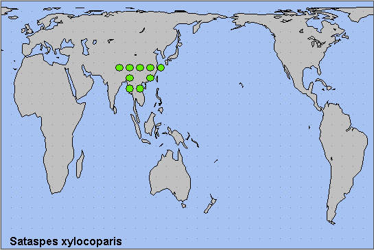 Global distribution of Sataspes xylocoparis. Map: © NHMUK.