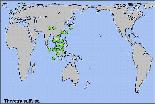 Global distribution of Theretra suffusa. Map: © NHMUK.