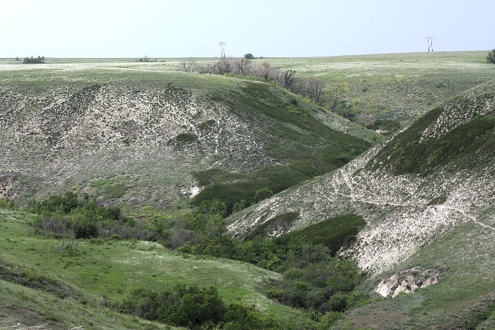 Typical habitat of Saturnia spini, Saratov/Volgograd area, southern Russia. Photo: © A. Zagorinsky.