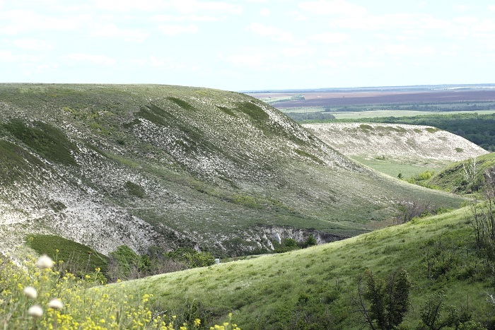 Typical habitat of Saturnia spini, Saratov/Volgograd area, southern Russia. Photo: © A. Zagorinsky.