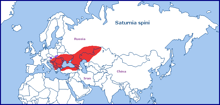 Global distribution of Saturnia spini. Map: © Tony Pittaway.