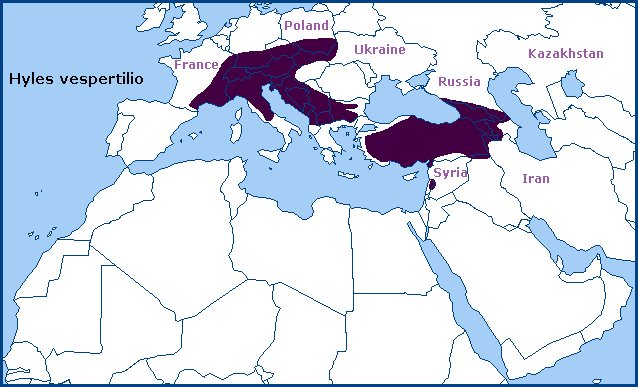 Global distribution of Hyles vespertilio. Map: © Tony Pittaway.