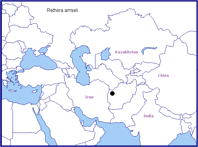 Global distribution of Rethera amseli. Map: © Tony Pittaway.