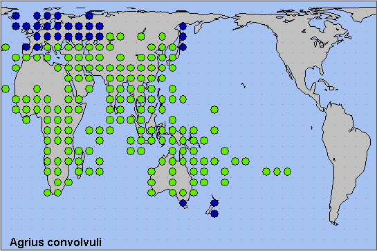Global distribution of Agrius convolvuli. Map: © NHMUK.