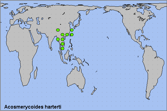 Global distribution of Acosmerycoides harterti. Map: © NHMUK.