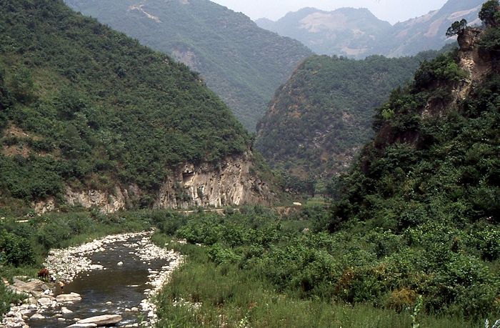 Typical habitat of Ambulyx japonica koreana, Qinling, Shaanxi, China. Photo: © Tony Pittaway.