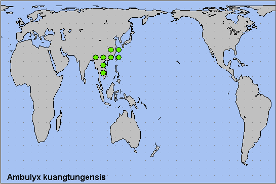 Global distribution of Ambulyx kuangtungensis. Map: © NHMUK.