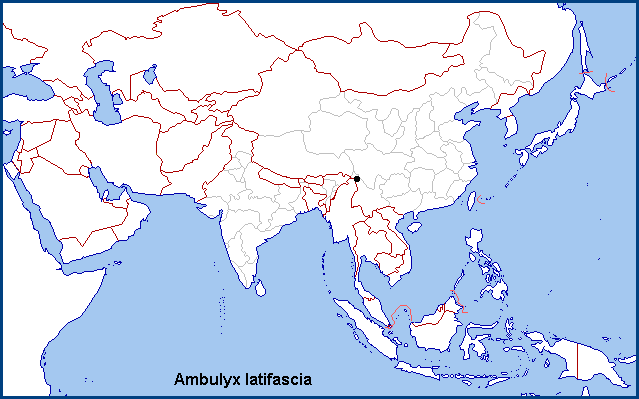 Global distribution of Ambulyx latifascia. Map: © NHMUK.