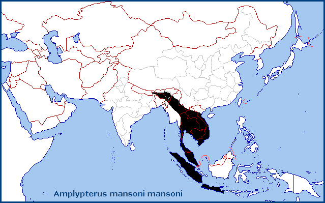 Global distribution of Amplypterus mansoni mansoni. Map: © Tony Pittaway.