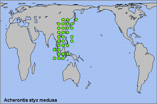 Global distribution of Acherontia styx medusa. Map: © NHMUK.
