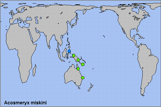 Global distribution of Acosmeryx miskini. Map: © NHMUK.