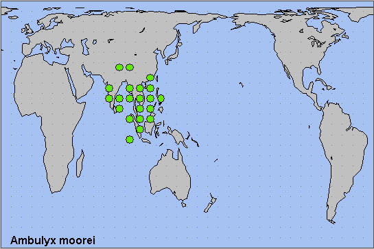 Global distribution of Ambulyx moorei. Map: © NHMUK.
