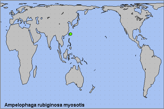 Global distribution of Ampelophaga rubiginosa myosotis. Map: © NHMUK.