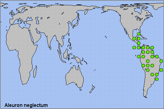 Global distribution of Aleuron neglectum. Map: © NHMUK.