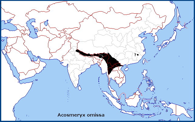 Global distribution of Acosmeryx omissa. Map: © Tony Pittaway.