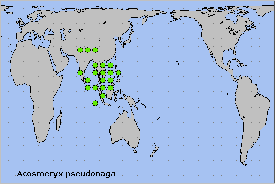 Global distribution of Acosmeryx pseudonaga. Map: © NHMUK.
