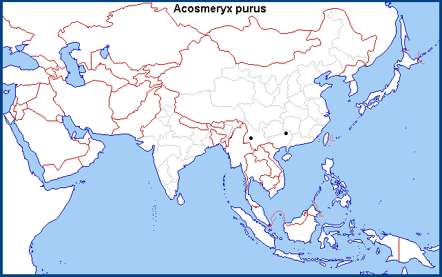 Global distribution of Acosmeryx purus. Map: © NHMUK.