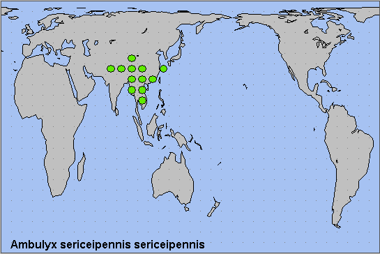 Global distribution of Ambulyx sericeipennis. Map: © NHMUK.
