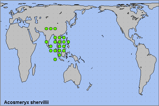 Global distribution of Acosmeryx shervillii. Map: © NHMUK.