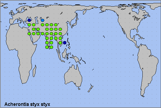 Global distribution of Acherontia styx styx. Map: © NHMUK.