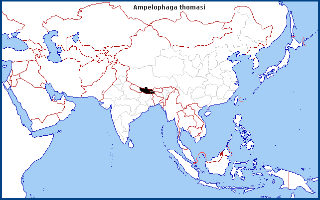 Global distribution of Ampelophaga thomasi. Map: © Tony Pittaway.